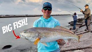 EVERYONE was Catching Monster Redfish!