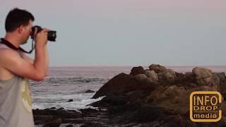 InfoDrop Media | Paul Miller Photos
