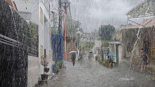 super heavy rain in my comfortable village, immediately fell asleep with the sound of heavy rain