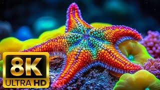 Life in the Abyss | Mysterious Underwater World in 8K (60FPS) Ultra HD