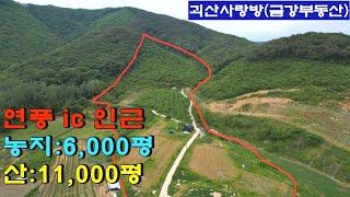 521. 괴산군 연풍면. 전망좋은 넓은 농지(6,000평)와 산(11,000평). 연풍 ic 인근. 괴산사랑방, 괴산부동산, 괴산토지, 괴산전원주택지, 염소목장, 산림경영.