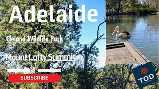 Adelaide | South Australia | Top of descent