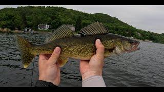 Chain Lake Eaters - Walleye Feast!