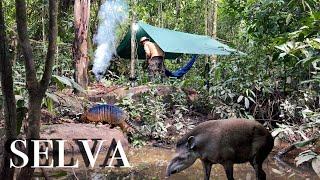 ENTREI em uma MATA Fechada FIZ um ACAMPAMENTO, passei a NOITE em meio aos ANIMAIS SELVAGENS Largados