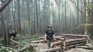 ▪️BUILDING A COZY A-FRAME LOG HOUSE! RAISING THE FIRST ROWS