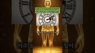 독소배출을 위한 간헐적단식, 아침 VS 저녁  황금시간대는?