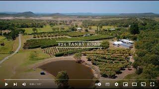 Mulholland & Co Presents The Tanby Lychee Farm - 924 Tanby Road, Tanby QLD 4703