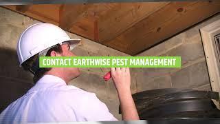 Solving Your Home Pest Control Problems in Sacramento