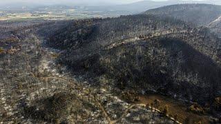 Satellitenbilder zeigen Zerstörung durch Waldbrände auf Euböa