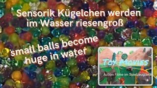 Sensorik Kugeln werden im Wasser groß. Small balls become huge in water.  - time lapse