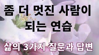 좀 더 멋진 사람이 되는 연습/ 3 가지 질문과 답변