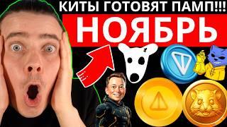 ️MEM DOGS, NOTCOIN, HMSTR, CATS, X IMPIRE, TONCOIN ️ ТОЛЬКО ЕДИНИЦЫ ЗАРАБОТАЮТ! СДЕЛАЙ ЭТО ПОКА...