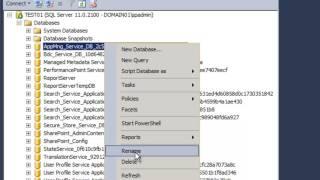 SharePoint 2013 Tutorial - Rename App Management Service Database