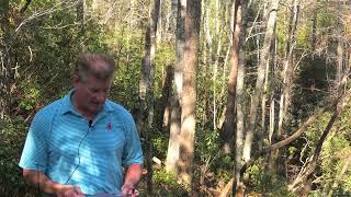 Lake Keowee Waterfront Real Estate Video Update February 2025 Mike Matt Roach