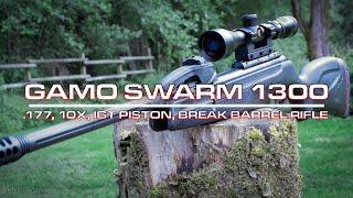 Gamo Swarm 1300 .177, 10X, IGT Piston, Break Barrel Rifle review 2020 #gamoswarm