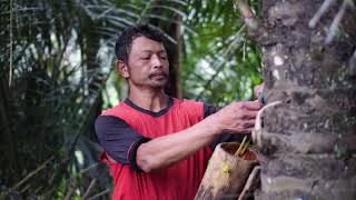 Gula Aren "Angklek" - IKM Unggulan Kec. Ngebel Kab. Ponorogo