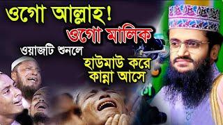 কুরআনের পাখির কণ্ঠে জান্নাতের সেরা তাফসীর | আব্দুল্লাহ আল আমীন ওয়াজ | Abdullah Al Amin 12-1-2025