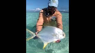 Indo-pacific permit release, Alphonse Island Resort, St.Francois Atoll