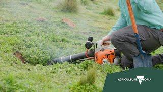 4. Rabbit control in Victoria - fumigation