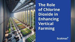 The Role of Chlorine Dioxide in Enhancing Vertical Farming Ecosystems - Scotmas