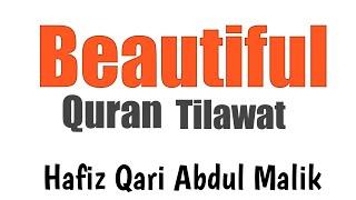 Beautiful Quran Tilawat, hafiz qari abdul malik অসাধাৰণ কোরআন তিলাওয়াত hosne quran787#shorts