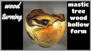 Wood turning mastic tree wood hollow form