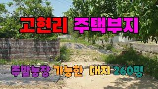 341. 고현리 주택부지매매 청하주말농장매매 개울옆 청하면 주택부지 매매  주말농장으로 활용중 포항 대지매매 포항부동산 청하부동산 지목부동산