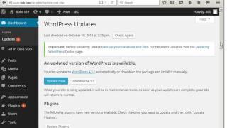 How to Update a WordPress Website or blog