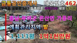 462충남 부여군 은산면  마을 뒷산 고갯마루 밭 부여땅 부여부동산