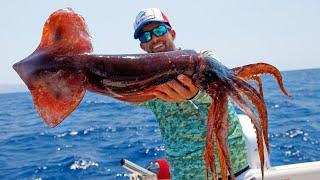 Fishing for Huge Squid in Italy