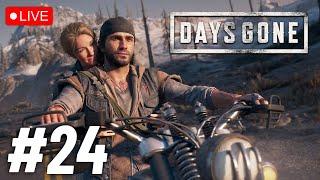 Days Gone  Hard to Survive in Zombieland?  Live Stream