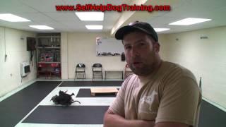 How to Train a Dog to Come When Called - Tips by K9-1 Dog Training.