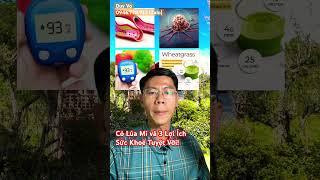 Cỏ Lúa Mì Non  3 Lợi Ích Vàng Cho Sức Khoẻ #cỏlúamìnon #wheatgrass #sứckhỏe #thựcdưỡng #detox