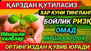 Жуда Кучли Дуо.  Бойлик, Ризк, Омад Оркангиздан Кувиб Юради.