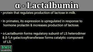 α Lactalbumin | Alpha Lactalbumin |