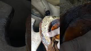 #gold necklace making#gold necklace #hallmark 22kt gold necklace#gold #viral