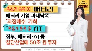 테마주 족집게 강의! 배터리 + AI 족집게 종목 2개! 자세한 매매전략 까지! [250306 종목 ! 투자의 맛 (주식대학)]