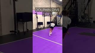 DOLPHIN DIVE DRILL! For volleyball players  #blockoutacademy #volleyballdrills