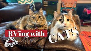 RVing WITH CATS - HOW TO RV WITH CATS - ROAD TRIP WITH YOUR CATS - CAMPING WITH CATS