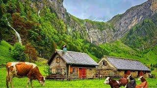 Switzerland Countryside - Relaxing walk in Switzerland's most beautiful villages - rain ambience