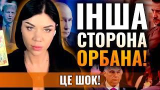 ЗА НИМ СТОЇТЬ НЕ ПУТІН! Ольга Стогнушенко: ТАЄМНИЙ ПЛАН ЄВРОПИ! НЕОЧІКУВАНЕ ВИКРИТТЯ!