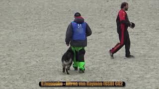 2021 IGP CACIT in Russia V Ivanenko - Altron von Kayman (GSD) C82