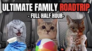 Cat MEMES: FAMILY ROADTRIP FULL HALF HOUR COMPILATION