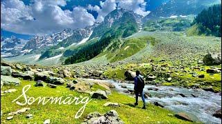 Sonmarg | Thajiwas Glacier | Meadow of Gold | Sonmarg Scam | Best Views of Himalayas