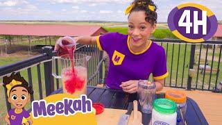 Picking Berries and Making Yummy Lemonade! | 4 HR OF MEEKAH! | Educational Videos for Kids