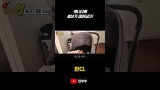 캐나다 출생신고 후 받은 놀라운 혜택