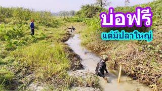 บ่อฟรี บ่อเล็กไม่มีเจ้าของ แต่มีปลาใหญ่กว่าที่คิด | Ep.017