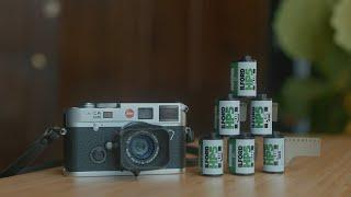 shooting film // advice for people new to film