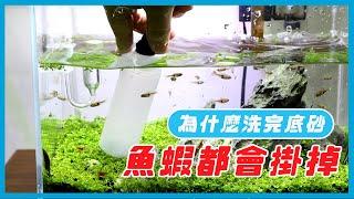 為什麼我明明有抽底砂？魚蝦卻常常死掉呢？Wash Aquasoil and Sand! Accurately Vacuum Cleaning my Fish Tank!