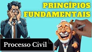 Princípios Fundamentais (Processo Civil) - Resumo Completo